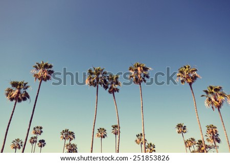 California palm trees in vintage style.