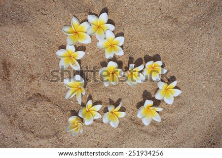 Flower heart on the sand. Valentine's Day.