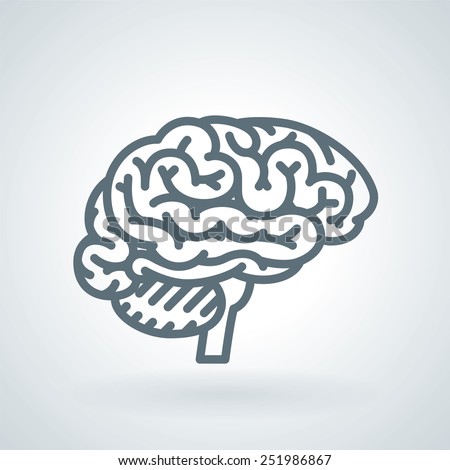 Detailed Human Brain Line Icon
