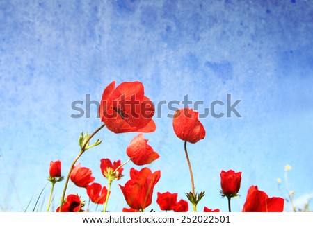 abstract photo of low angle view of poppies flowers against sky. image is textured with overly