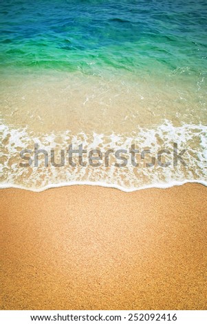 Surf wave on a sea beach