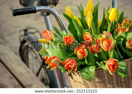 Bicycle basket with tulips 