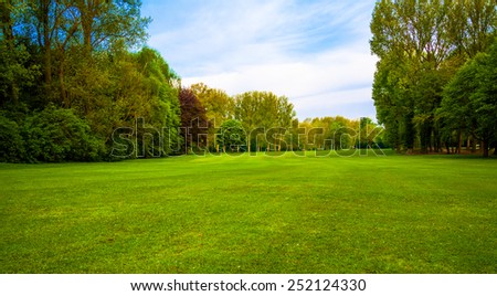 green field. Beautiful Landscape. grass and forest Royalty-Free Stock Photo #252124330