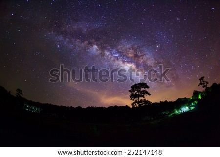 Silhouette of Tree and Milky Way with cloud at Phu Hin Rong Kla National Park,Phitsanulok Thailand
