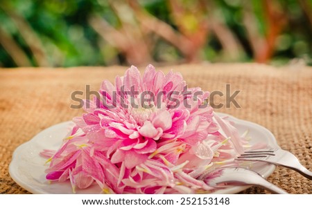 Purple flowers on a white dish in retro vintage style. Soft blur background.