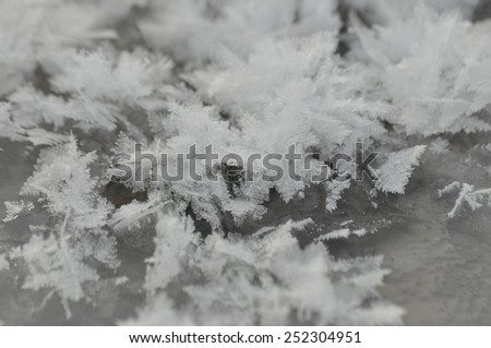 Streaks of snow. Snowflakes on the ice. Winter and frost. ice sheet