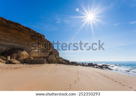 Desert sunny beach