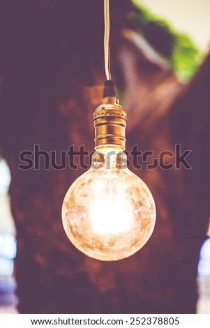 Vintage filter : Vintage lightbulb hanging on tree.