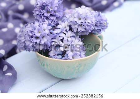 Blue, lilac hyacinth  in a green ceramic cup  bowl on wooden pale duck egg blue painted wooden boards with spotty fabric in background , pretty spring image , shallow depth of field , mothers day
