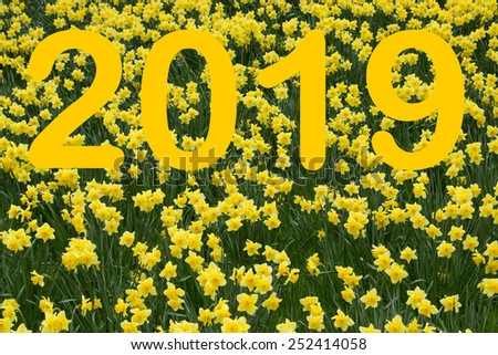 2019 in yellow with daffodil background