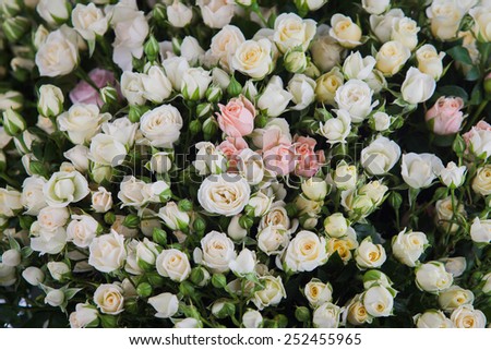 white and yellow roses background