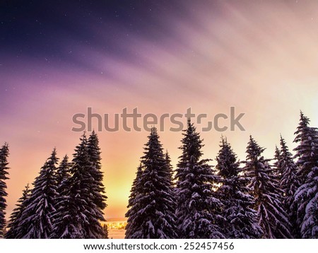 winter landscape with stars
