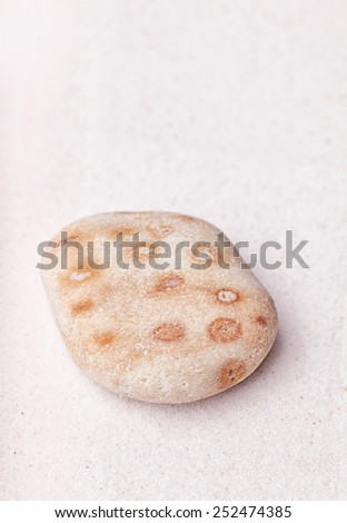 A weird spotty rock in  the fine sand of the zen garden