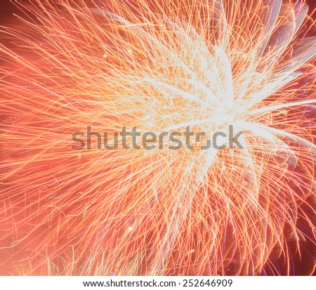 Fireworks exploding in the night sky