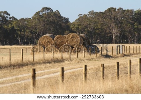 Hay bales sitting on open farmland in the Margaret River region south of Perth, Western Australia, Australia. Royalty-Free Stock Photo #252733603