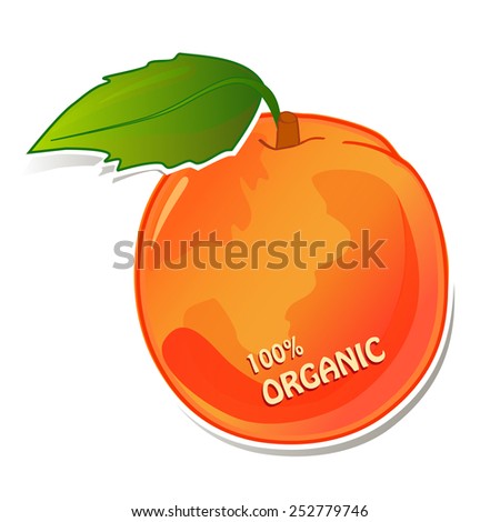 Illustration of organic juicy peach with green leaf