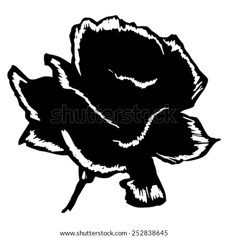 black silhouette of rose
