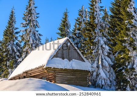 Wooden hut covered with fresh snow in forest in winter scenery of Gorce Mountains, Poland