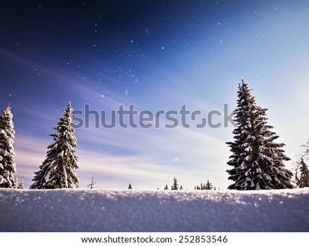 winter landscape with stars
