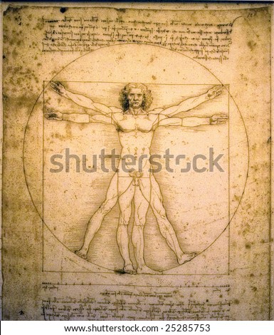 Vitruvian man of Leonardo Da Vinci Royalty-Free Stock Photo #25285753