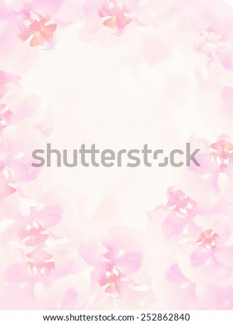 beautiful decorative ring of orchids, gentle pink tone
