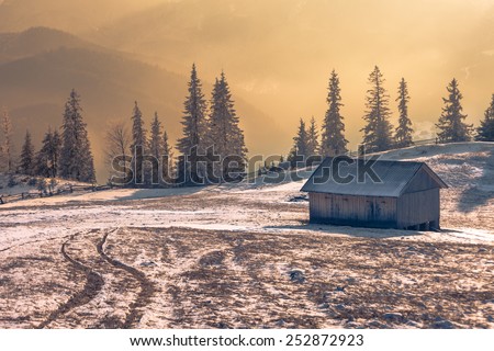 Majestic winter landscape glowing by sunlight. Dramatic wintry scene. Carpathian, Ukraine, Europe.