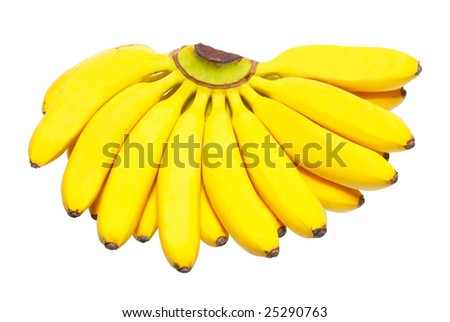 Butch of small bananas.