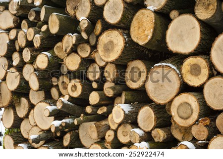 firewood stack 