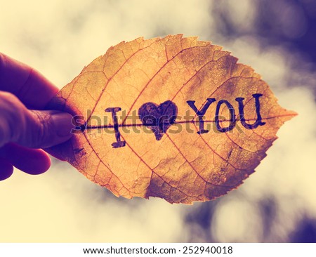 a hand holding a leaf that reads "i love you" in ink up to the sky on a dreary day (very shallow depth of field - focus on the Y) toned with a retro vintage instagram filter effect Royalty-Free Stock Photo #252940018
