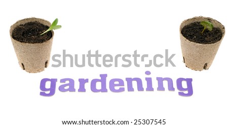 Two garden plants shot with the word gardening underneath, isolated against a white background