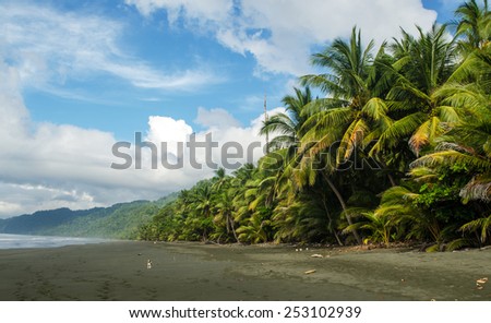 Corcovado National Park - beach view, Osa Peninsula - Costa Rica Royalty-Free Stock Photo #253102939