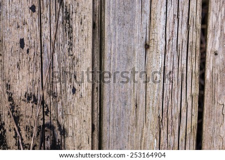 Old wooden boards, texture