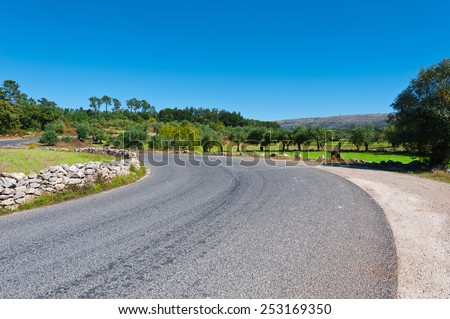 Asphalt Road between Hills Covered with Olive Groves in Portugal