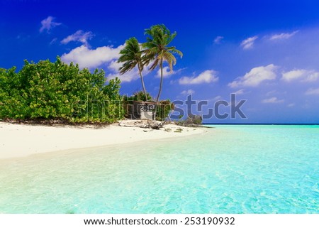 beautiful blue  sea tropical  Maldives  romantic  atoll island paradise luxury  resort about coral reef amazing  fresh  freedom snorkel adventure