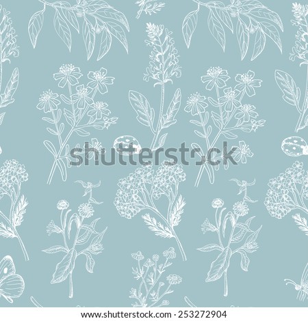 Seamless pattern with herbs on blue background. Vector illustration for your design Royalty-Free Stock Photo #253272904