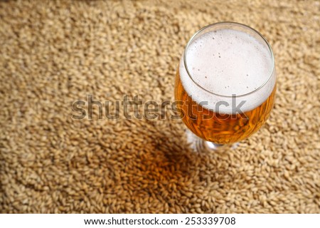 Glass full of light beer standing on barley malt grains Royalty-Free Stock Photo #253339708