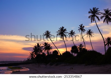 Black silhouettes of palm trees against the sky painted in sunset colors