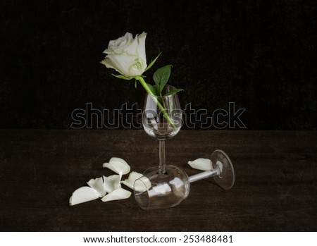 romantic white roses with a pair of glasses on a dark background