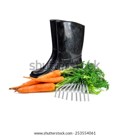 carrot and gardening tools:  rubber boots, rake 