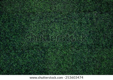 Natural green leaf wall, Texture background Royalty-Free Stock Photo #253603474
