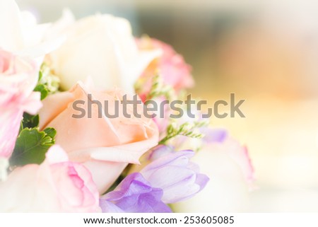 close up soft pastel roses