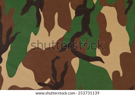Camouflage pattern on cloth. Woodland style.