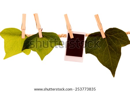 green leaves and instant photo hanging on a rope clothesline isolated on white