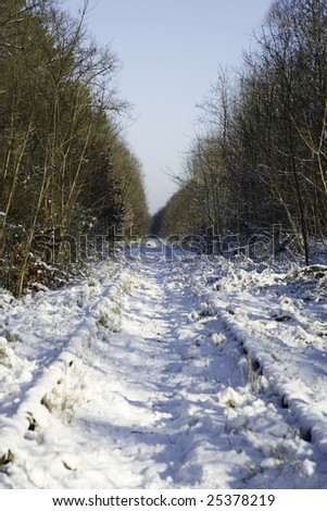 The railway in the winter, where no one goes
