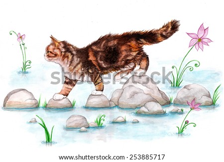 red cat on the rocks