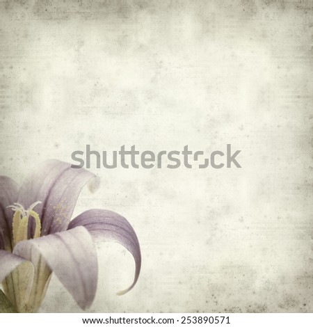 textured old paper background with Romulea columnae grandiscapa 