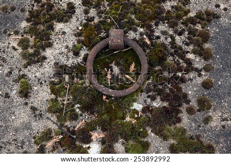 Old tombstone ring at the abandoned cemetery in Terezin, Czech Republic