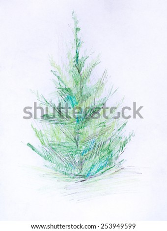 Pine, pencil drawing