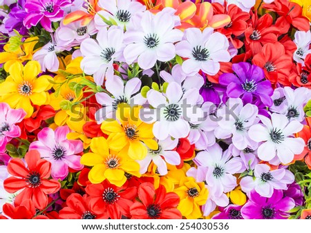colorful flowers abstract background