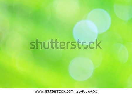 green bokeh blur abstract background from leaf